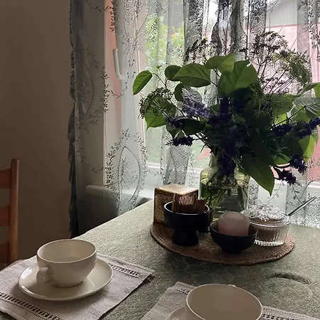 Vintage Apartament Tallin